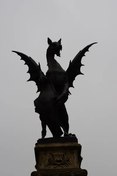 DSC_5832 (Large).JPG